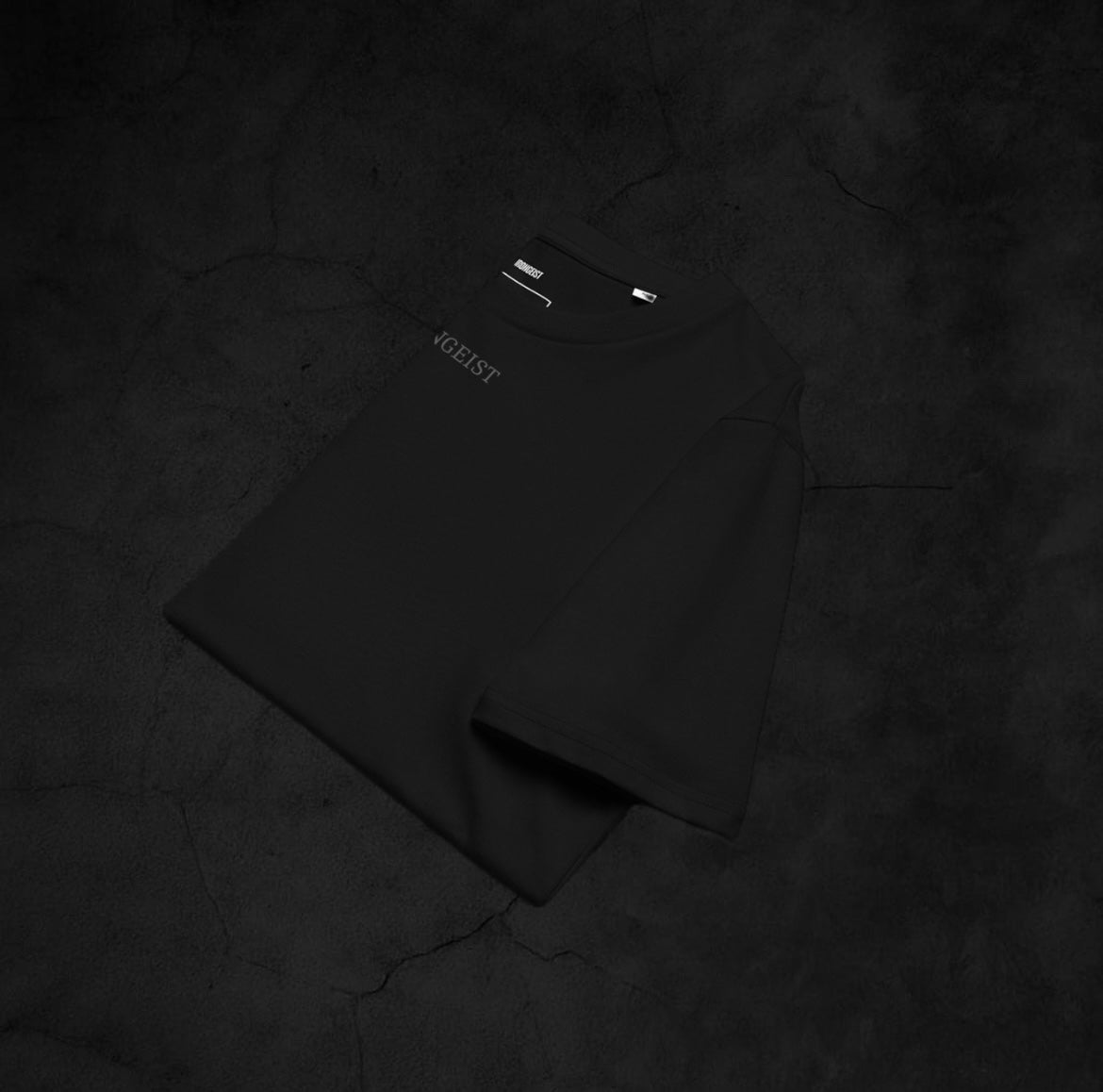 IRONGEIST® T-shirt – No Master