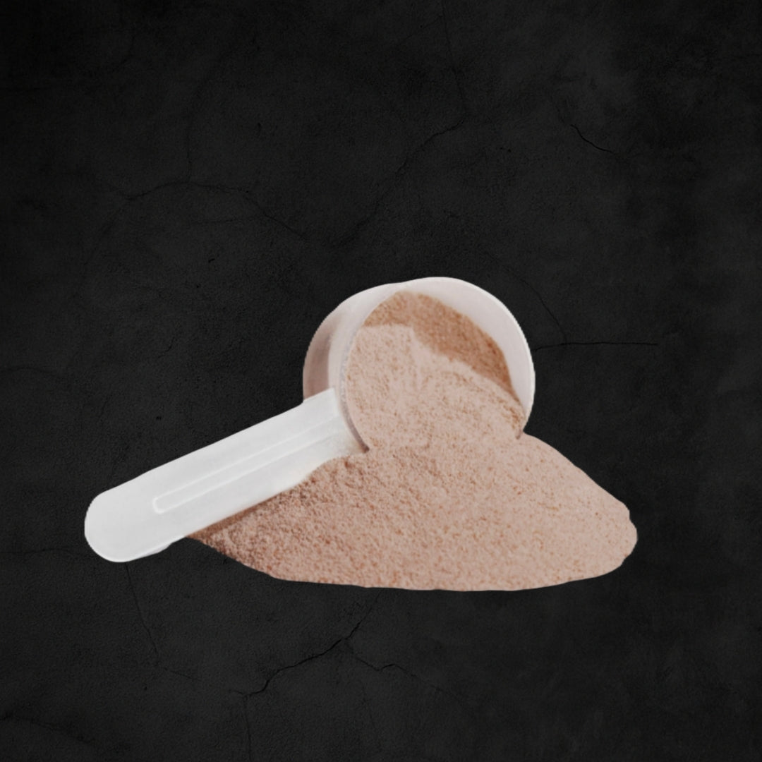 Vendercart® Plant Protein – Chocolate 21g – IRONGEIST Selection